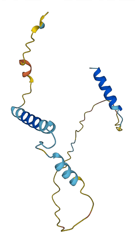 RGCC 3D structure