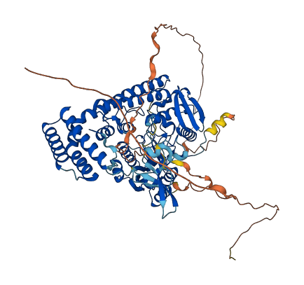 PCIF1 3D structure