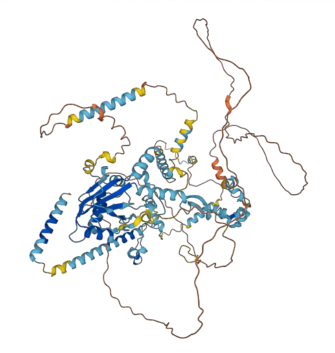 ESF1 3D structure