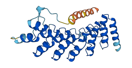 ANKRD19P 3D structure