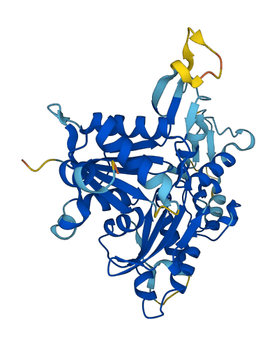 ACTL8 3D structure
