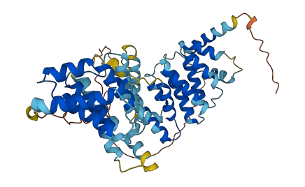 MROH8 3D structure