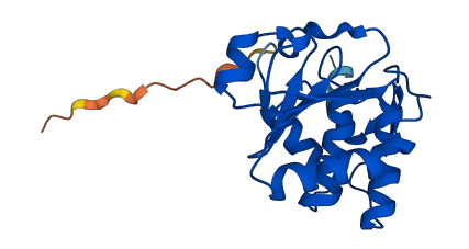 DUSP21 3D structure
