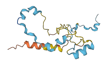 C11orf1 3D structure