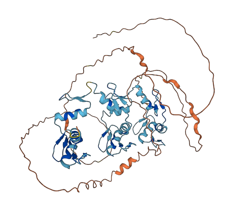 ZNF768 3D structure