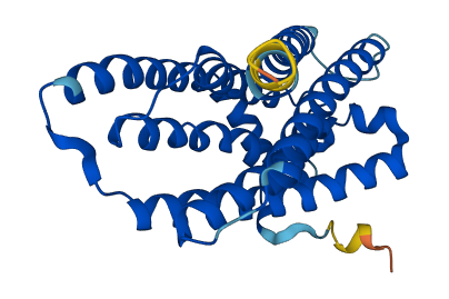 ELOVL6 3D structure