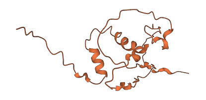C5orf66 3D structure