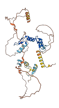 IKZF5 3D structure