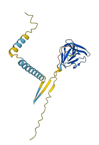 CXorf56 3D structure