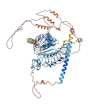 SLITRK6 3D structure