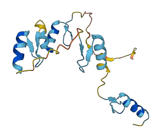 ZNF576 3D structure