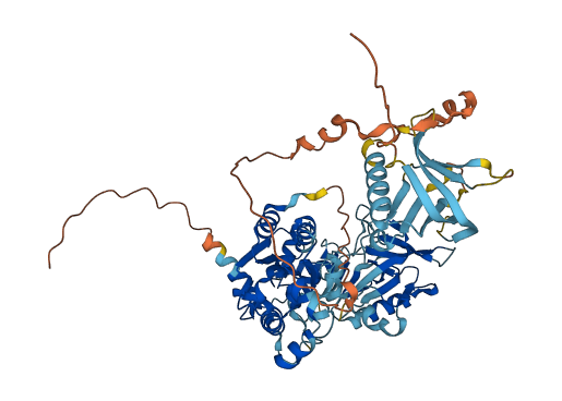 PIF1 3D structure