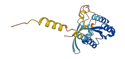 RERGL 3D structure