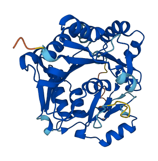 NSUN3 3D structure