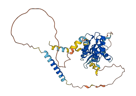IGFLR1 3D structure
