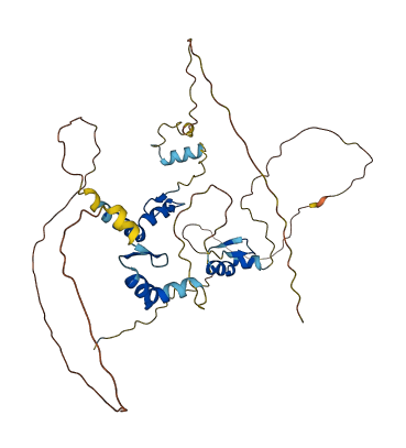 ZNF385D 3D structure