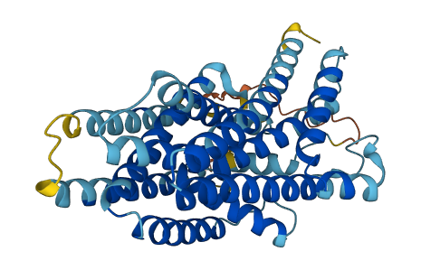XKR8 3D structure