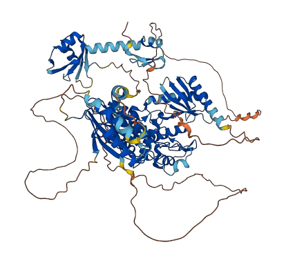TUT1 3D structure