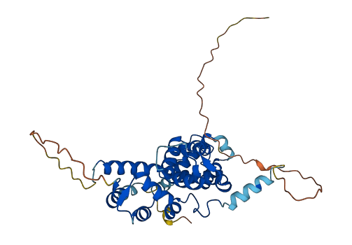 C11orf49 3D structure