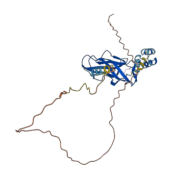 ILRUN 3D structure