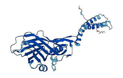 TMEM231 3D structure