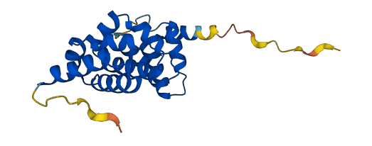 ARMC7 3D structure