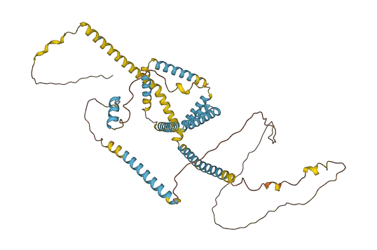 RETREG1 3D structure