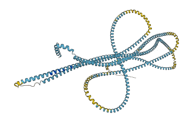 MYH16 3D structure