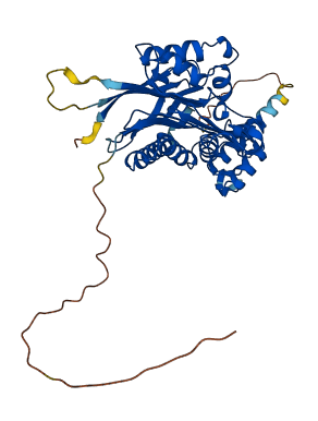 TASP1 3D structure