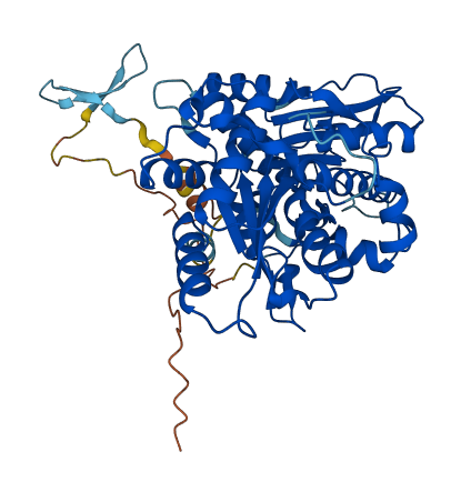 CIAO3 3D structure