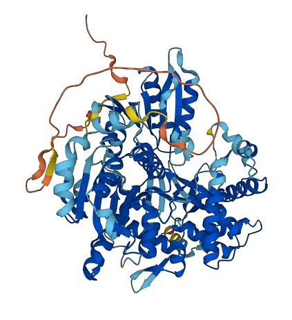 DHX33 3D structure