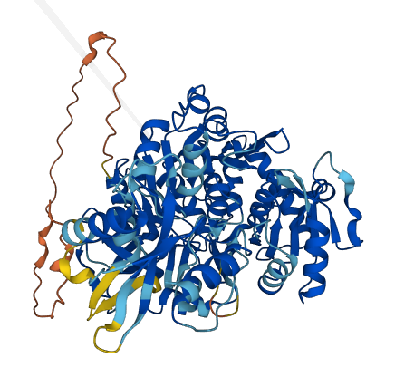 ACSS3 3D structure