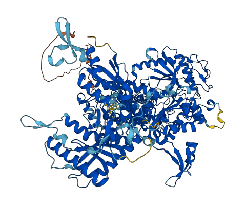 NOL6 3D structure