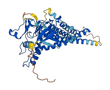 ZDHHC6 3D structure
