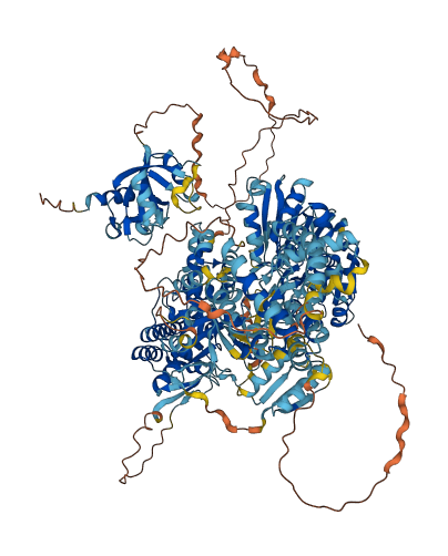 YTHDC2 3D structure