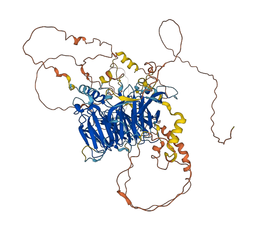 BCAS3 3D structure