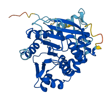 LDAH 3D structure