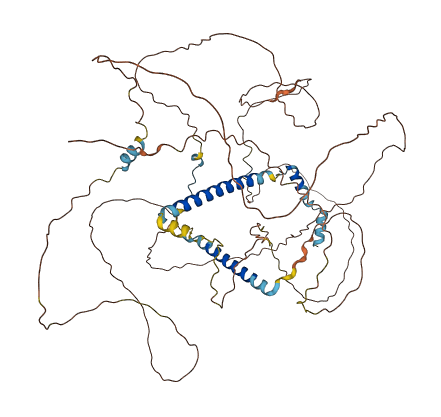 C19orf44 3D structure