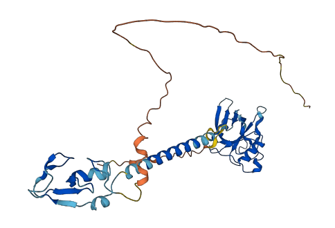 RNF167 3D structure