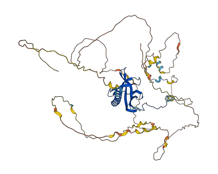 RANBP3 3D structure
