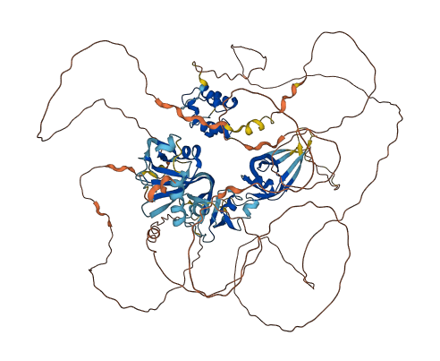 GAREM1 3D structure