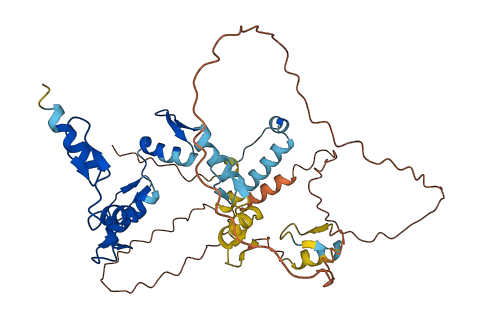 ZNF552 3D structure