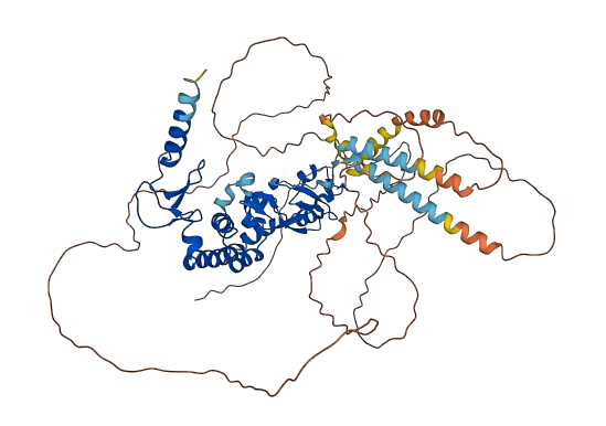 RUBCNL 3D structure
