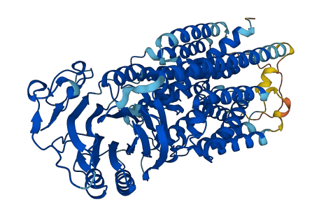 CWH43 3D structure