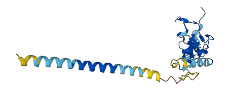 C12orf49 3D structure