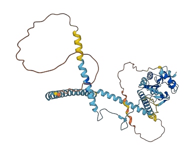 SH2D4A 3D structure