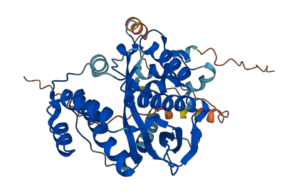 EXO5 3D structure