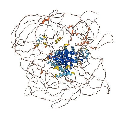 PEAK1 3D structure
