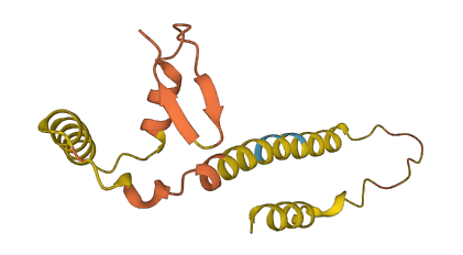 C7orf69 3D structure