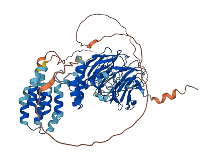 WDR26 3D structure